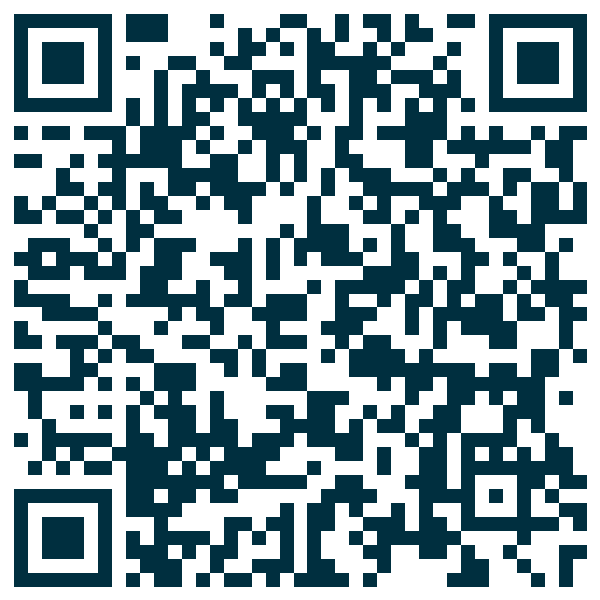 QR code — The Holidays