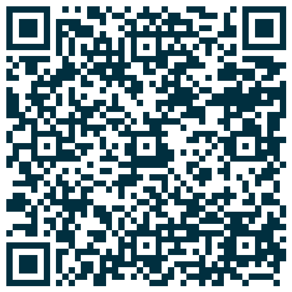 QR code — Louis la Brocante