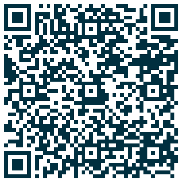 QR code — Louis la Brocante