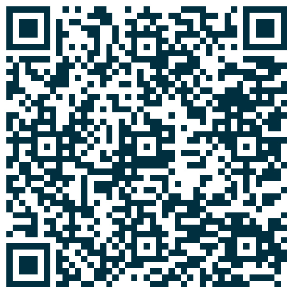 QR code — Trinidad Vibes
