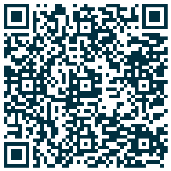 QR code — Trinidad Vibes