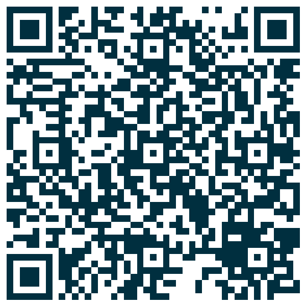 QR code — Trinidad Vibes