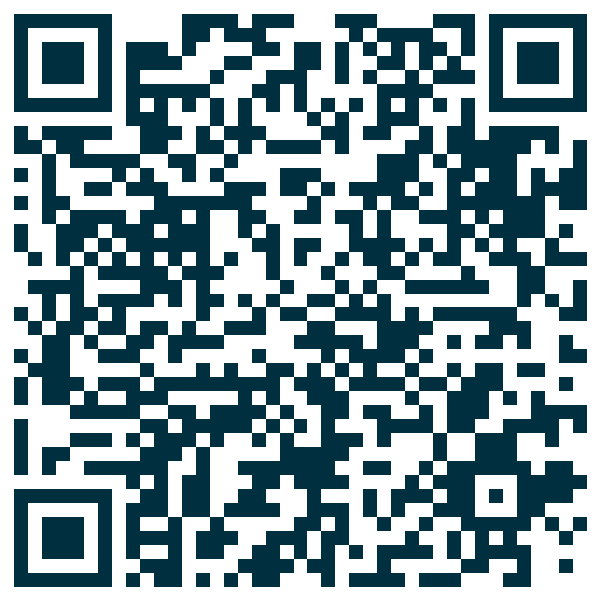 QR code — New China Town