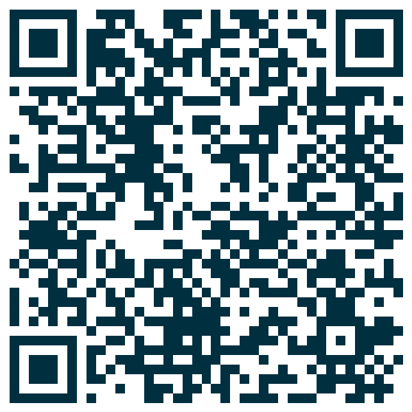 QR code — Lilipizz