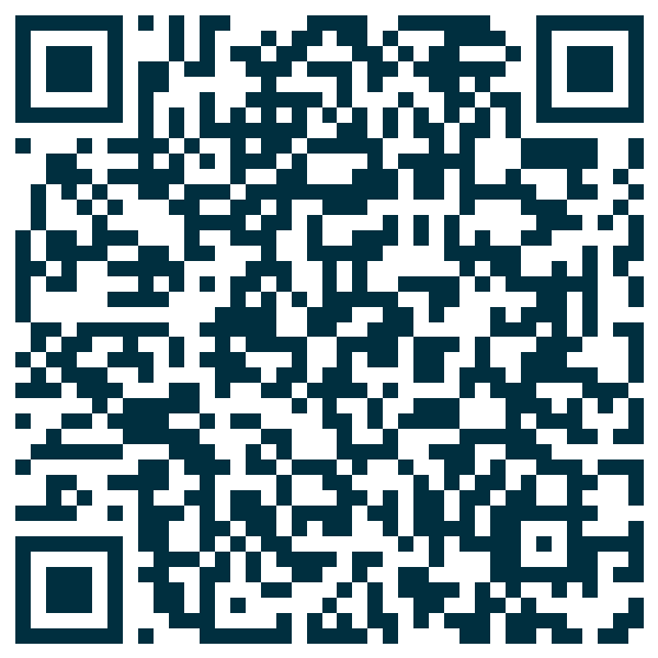 QR code — Pub Goudale 