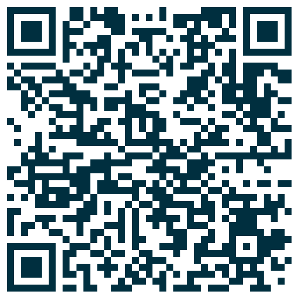 QR code — Pub Goudale 