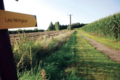 Les Héringaux