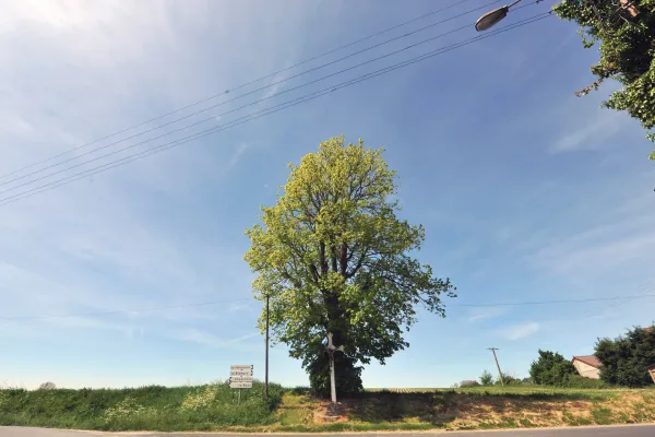 Sentier de Laprée - Version longue