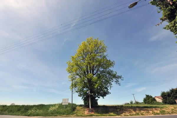 Le Sentier de Laprée - Version courte
