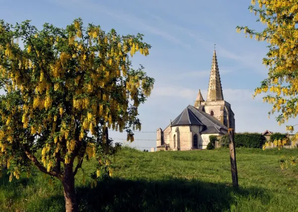 Le Mont de Drionville